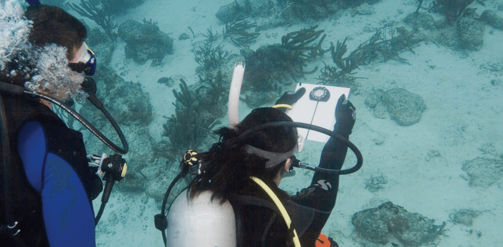 Underwater Navigator
