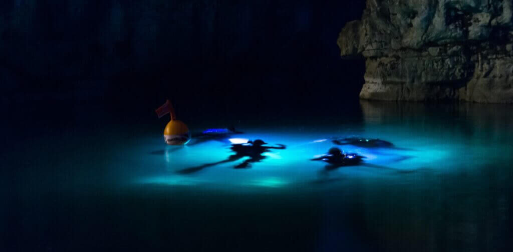 Night Diver